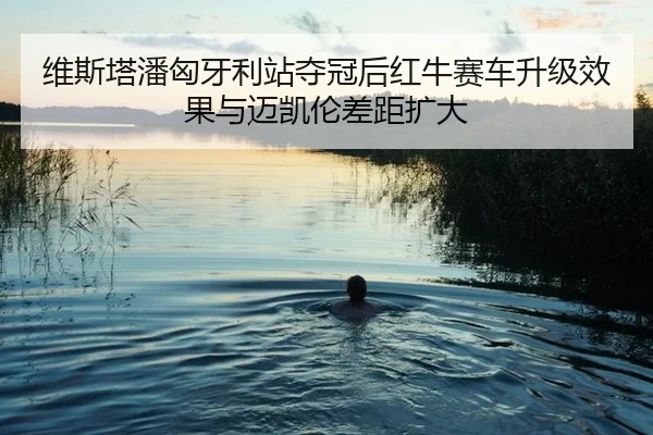 维斯塔潘匈牙利站夺冠后红牛赛车升级效果与迈凯伦差距扩大